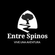 Logo BN Entre Spinos